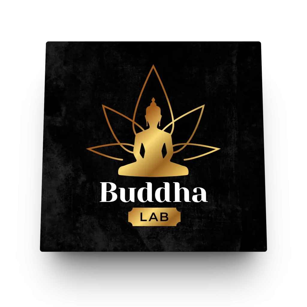 Buda Lab – Logo
