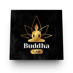 Buda Lab – Logo