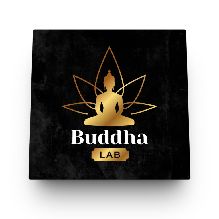 Buda Lab - Logo